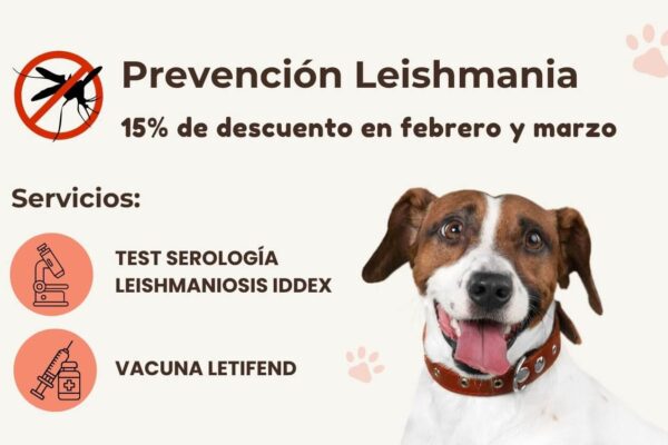 Campaña promoción prevención leishmania de Posa'l Bé Clínica Veterinaria de Hospitalet de Llobregat