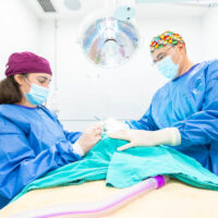 Cirugía en Posa'l Bé Clínica Veterinaria de l'Hospitalet