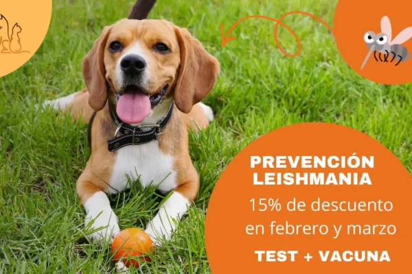 Campaña Prevención Leishmania